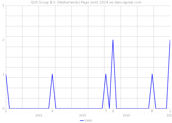 QVS Group B.V. (Netherlands) Page visits 2024 