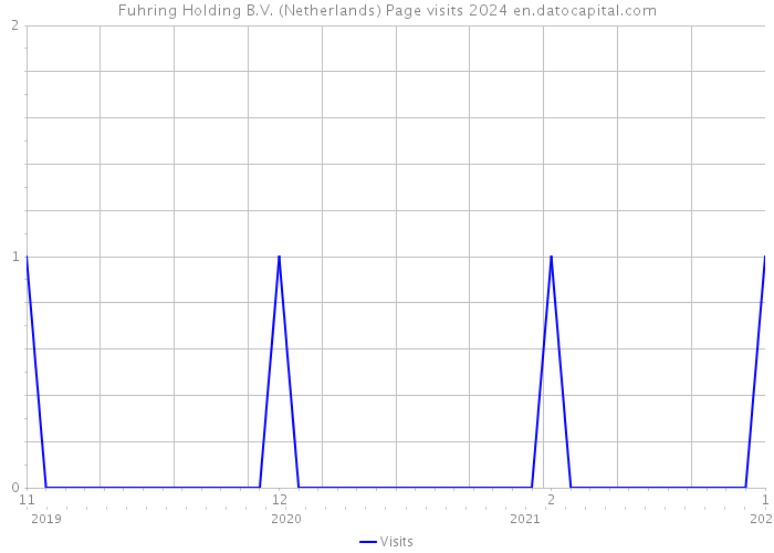 Fuhring Holding B.V. (Netherlands) Page visits 2024 