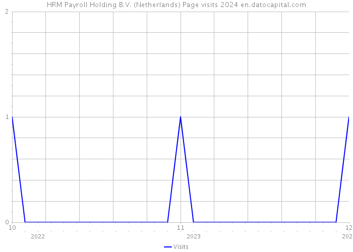HRM Payroll Holding B.V. (Netherlands) Page visits 2024 