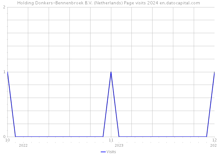 Holding Donkers-Bennenbroek B.V. (Netherlands) Page visits 2024 