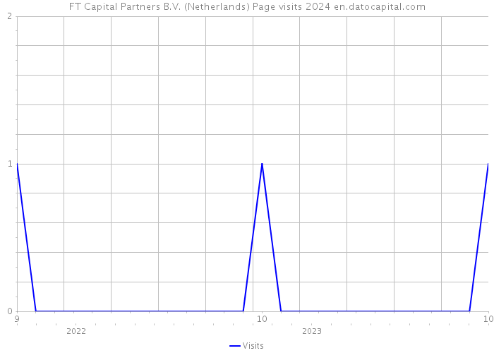 FT Capital Partners B.V. (Netherlands) Page visits 2024 