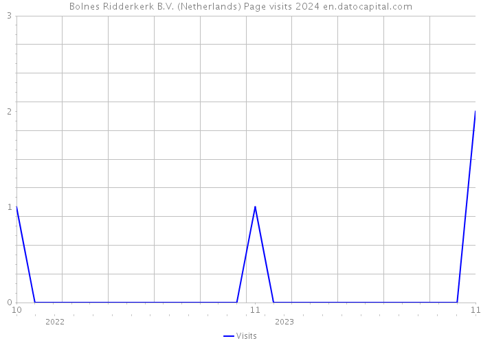 Bolnes Ridderkerk B.V. (Netherlands) Page visits 2024 