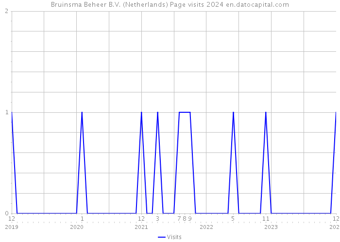 Bruinsma Beheer B.V. (Netherlands) Page visits 2024 
