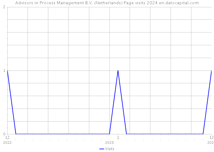 Advisors in Process Management B.V. (Netherlands) Page visits 2024 