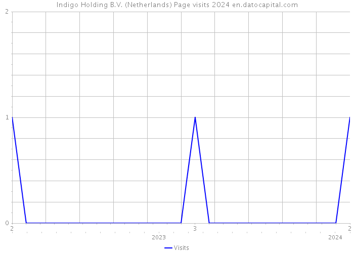 Indigo Holding B.V. (Netherlands) Page visits 2024 