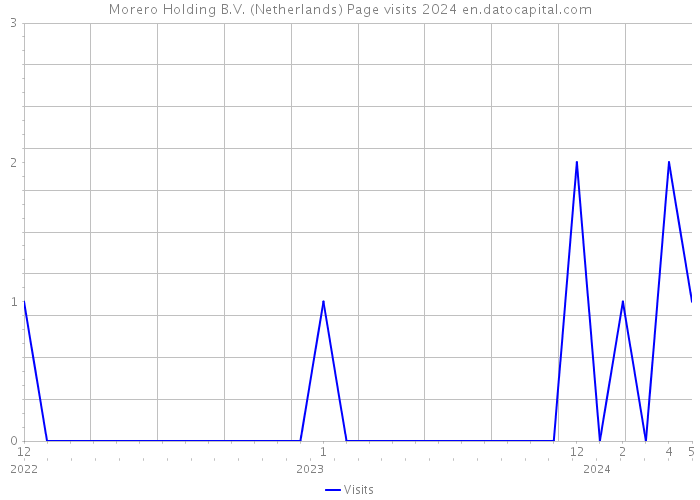 Morero Holding B.V. (Netherlands) Page visits 2024 