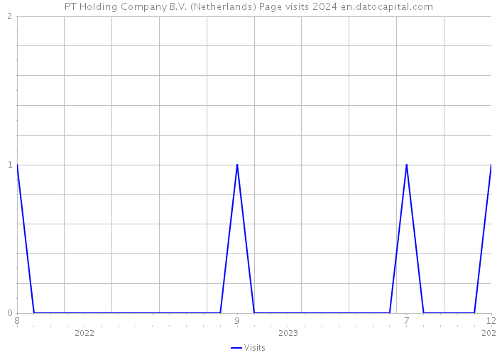 PT Holding Company B.V. (Netherlands) Page visits 2024 