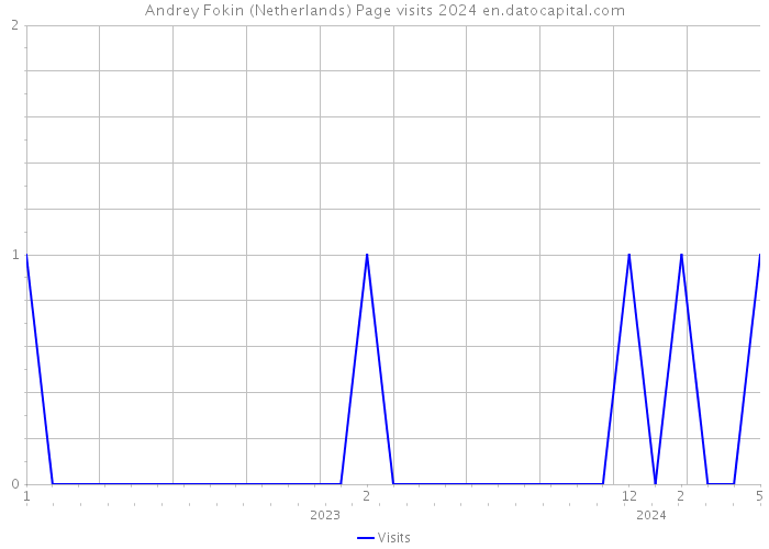 Andrey Fokin (Netherlands) Page visits 2024 