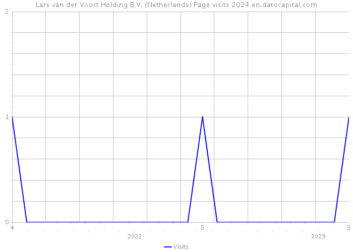 Lars van der Voort Holding B.V. (Netherlands) Page visits 2024 