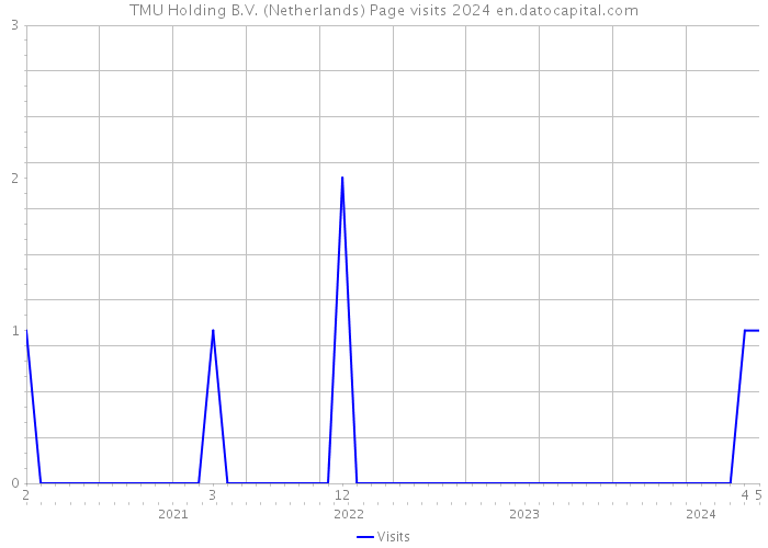 TMU Holding B.V. (Netherlands) Page visits 2024 
