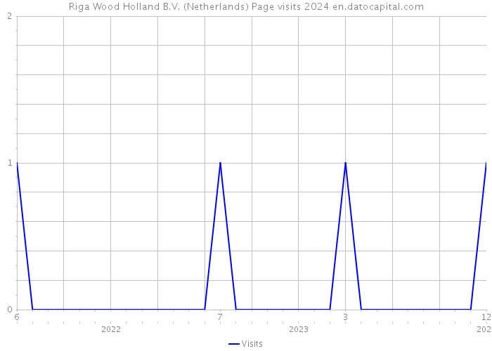 Riga Wood Holland B.V. (Netherlands) Page visits 2024 