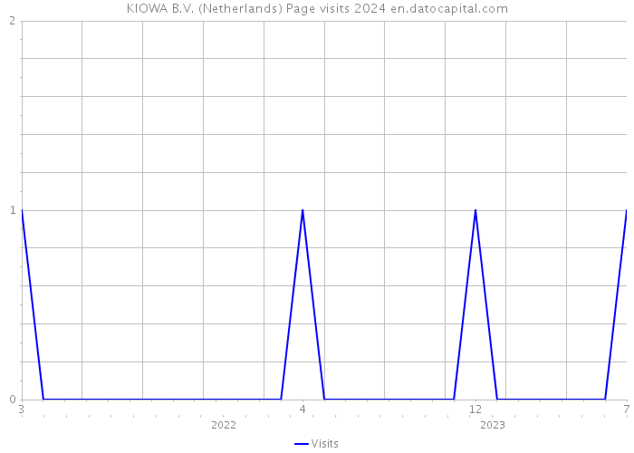 KIOWA B.V. (Netherlands) Page visits 2024 