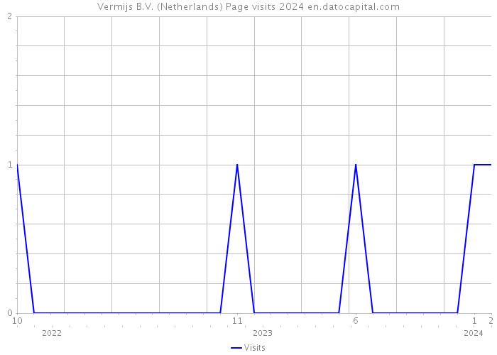 Vermijs B.V. (Netherlands) Page visits 2024 
