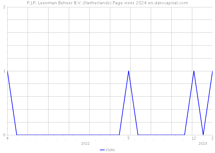 P.J.P. Leenman Beheer B.V. (Netherlands) Page visits 2024 