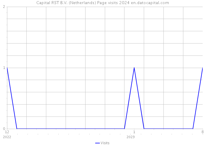 Capital RST B.V. (Netherlands) Page visits 2024 