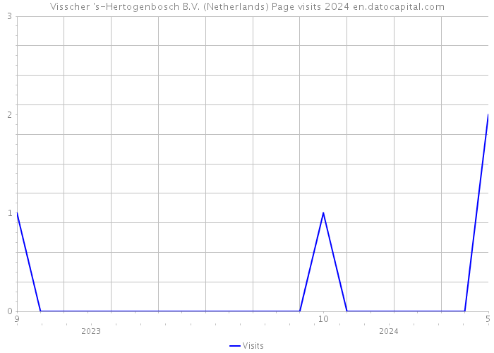 Visscher 's-Hertogenbosch B.V. (Netherlands) Page visits 2024 