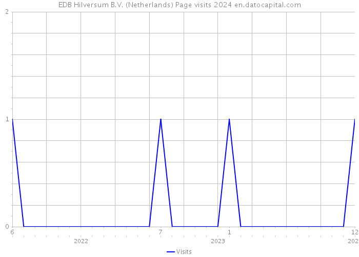 EDB Hilversum B.V. (Netherlands) Page visits 2024 