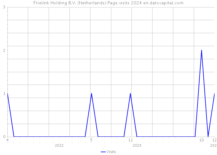 Frielink Holding B.V. (Netherlands) Page visits 2024 