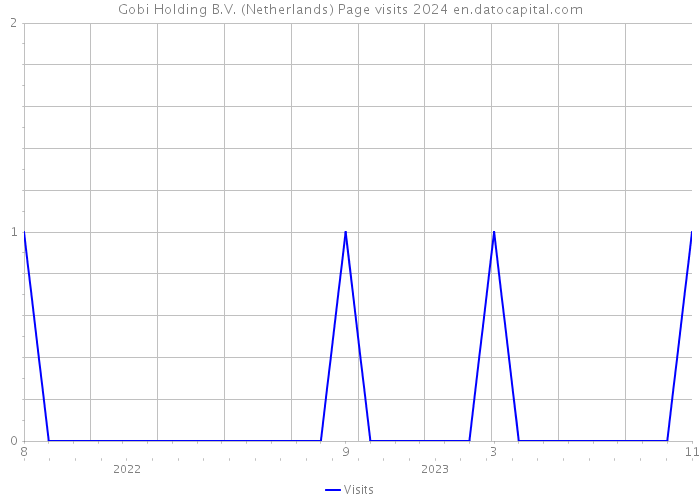 Gobi Holding B.V. (Netherlands) Page visits 2024 