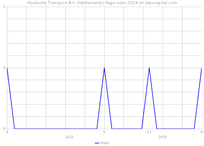 Hoeksche Transport B.V. (Netherlands) Page visits 2024 