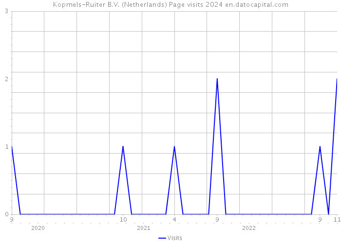 Kopmels-Ruiter B.V. (Netherlands) Page visits 2024 