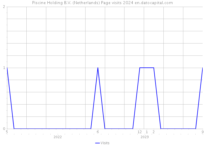 Piscine Holding B.V. (Netherlands) Page visits 2024 