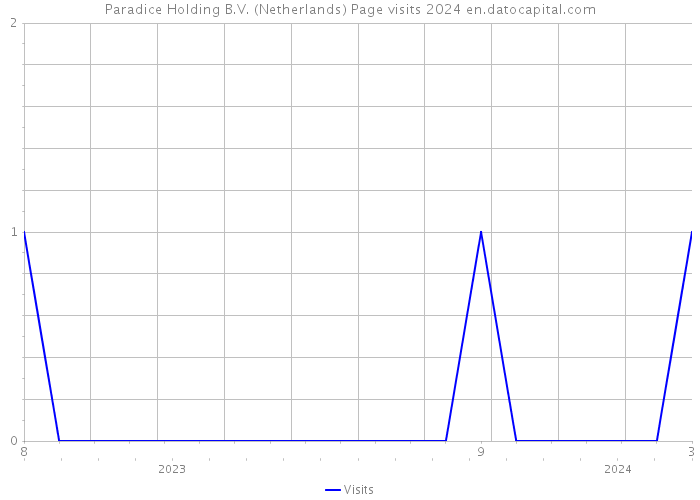 Paradice Holding B.V. (Netherlands) Page visits 2024 