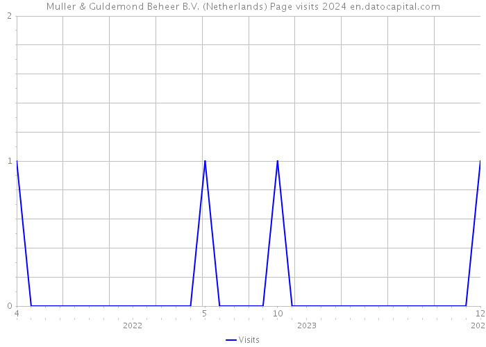 Muller & Guldemond Beheer B.V. (Netherlands) Page visits 2024 