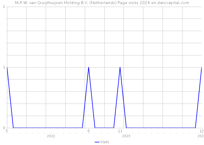 M.P.W. van Gruijthuijsen Holding B.V. (Netherlands) Page visits 2024 