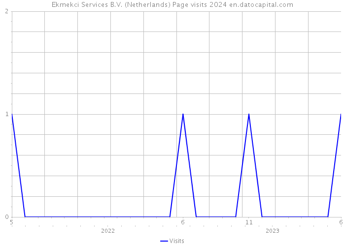 Ekmekci Services B.V. (Netherlands) Page visits 2024 