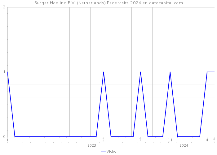 Burger Hodling B.V. (Netherlands) Page visits 2024 