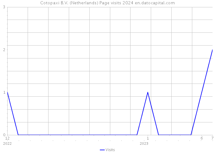 Cotopaxi B.V. (Netherlands) Page visits 2024 
