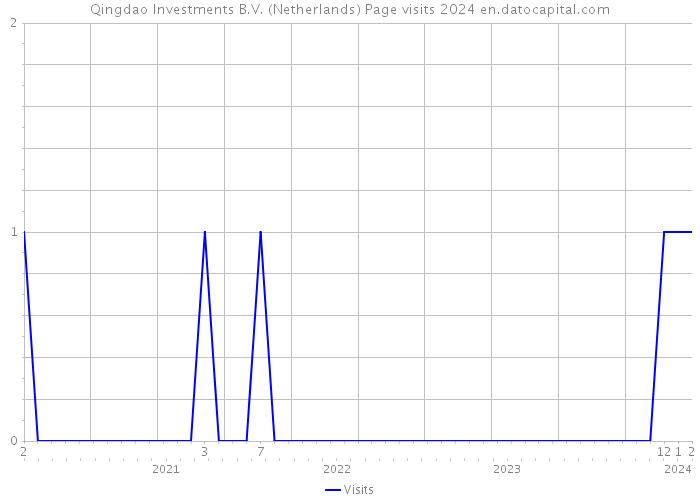 Qingdao Investments B.V. (Netherlands) Page visits 2024 