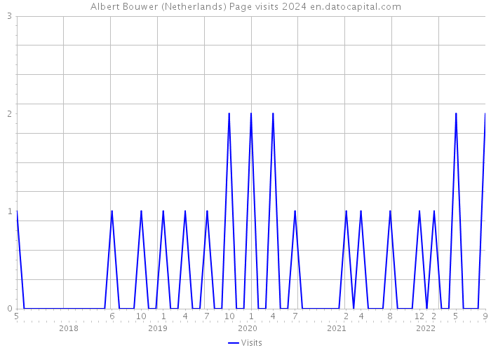 Albert Bouwer (Netherlands) Page visits 2024 