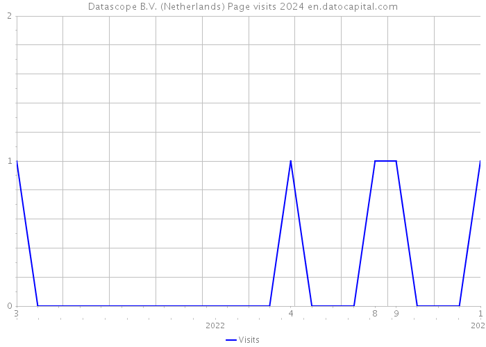 Datascope B.V. (Netherlands) Page visits 2024 