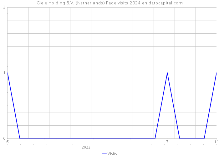 Giele Holding B.V. (Netherlands) Page visits 2024 