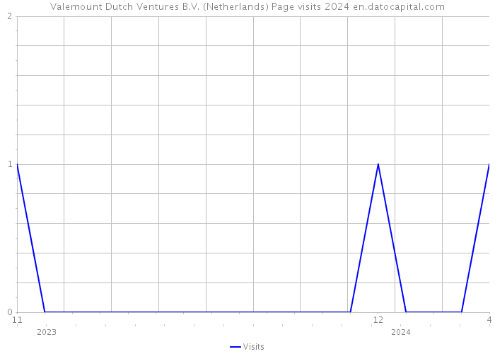Valemount Dutch Ventures B.V. (Netherlands) Page visits 2024 