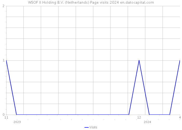 WSOF II Holding B.V. (Netherlands) Page visits 2024 