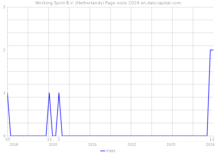 Working Spirit B.V. (Netherlands) Page visits 2024 