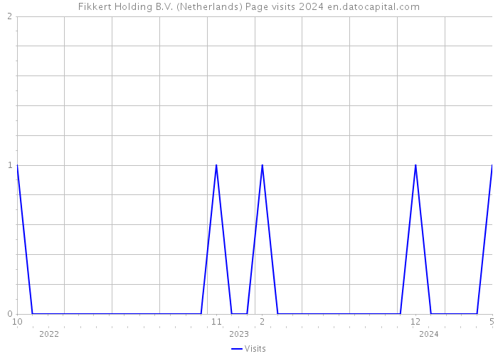 Fikkert Holding B.V. (Netherlands) Page visits 2024 