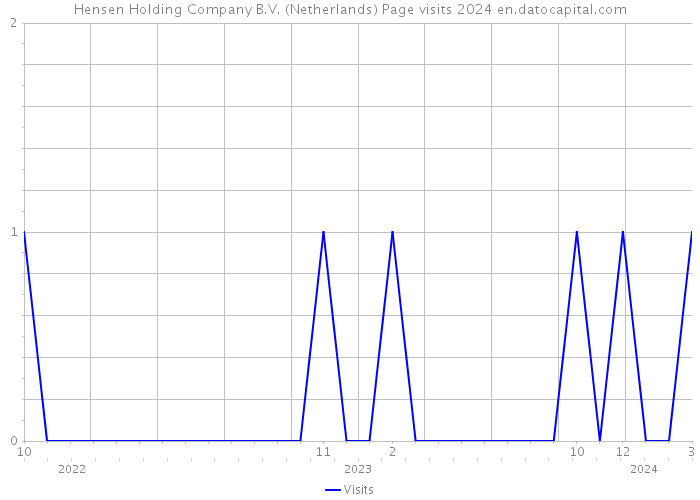 Hensen Holding Company B.V. (Netherlands) Page visits 2024 
