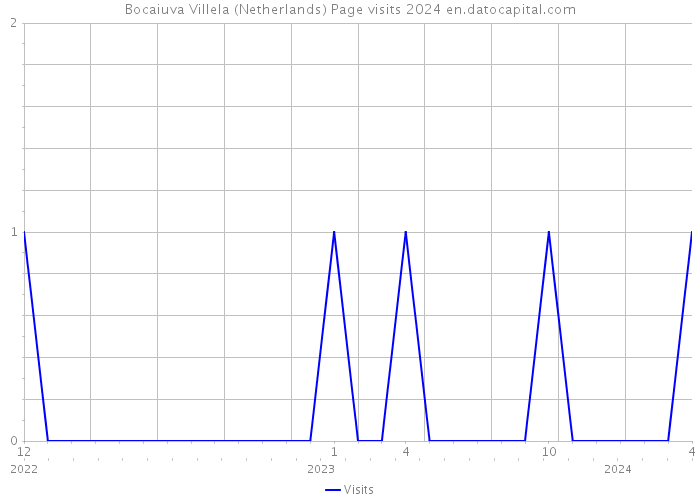 Bocaiuva Villela (Netherlands) Page visits 2024 