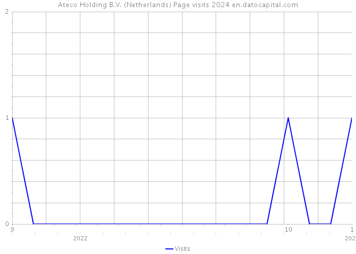 Ateco Holding B.V. (Netherlands) Page visits 2024 