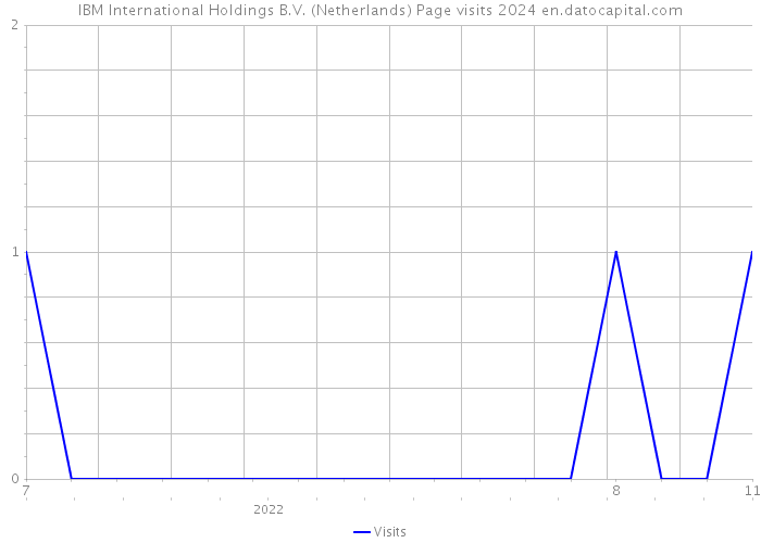 IBM International Holdings B.V. (Netherlands) Page visits 2024 