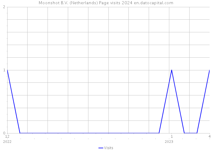Moonshot B.V. (Netherlands) Page visits 2024 