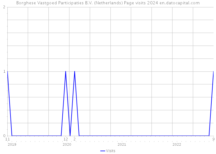Borghese Vastgoed Participaties B.V. (Netherlands) Page visits 2024 