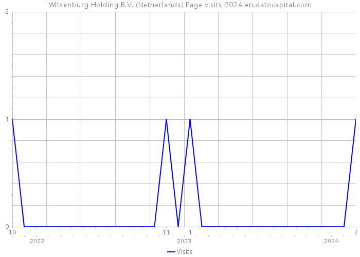 Witsenburg Holding B.V. (Netherlands) Page visits 2024 