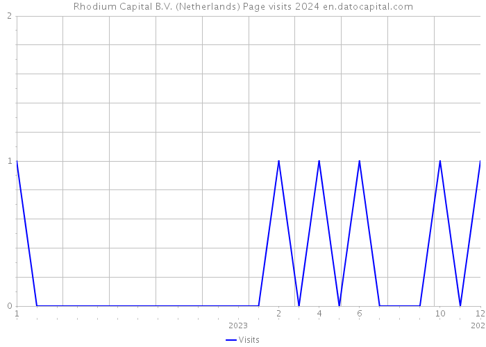 Rhodium Capital B.V. (Netherlands) Page visits 2024 
