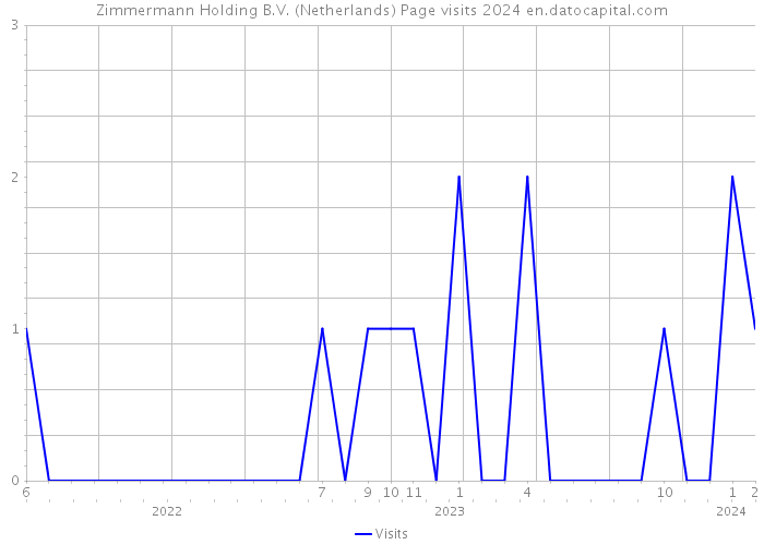 Zimmermann Holding B.V. (Netherlands) Page visits 2024 