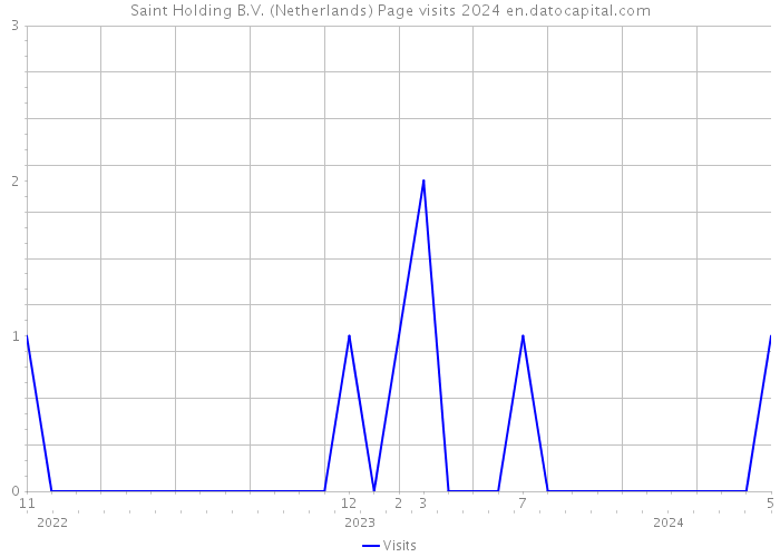 Saint Holding B.V. (Netherlands) Page visits 2024 